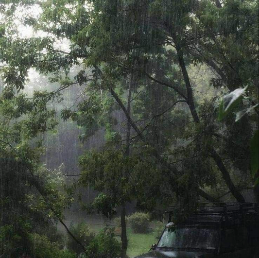 The Feeling of Barish