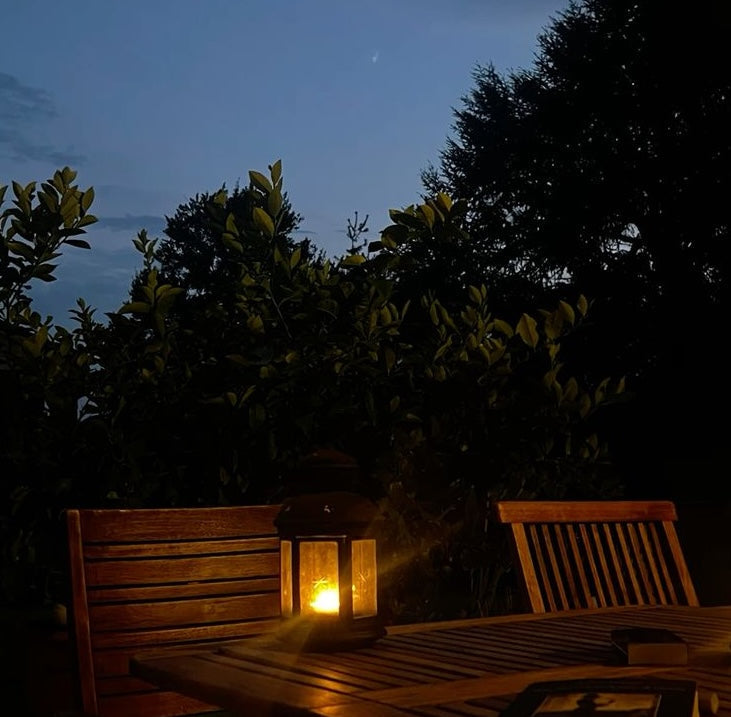 Raat ki Rani: The Scent of Summer Nights